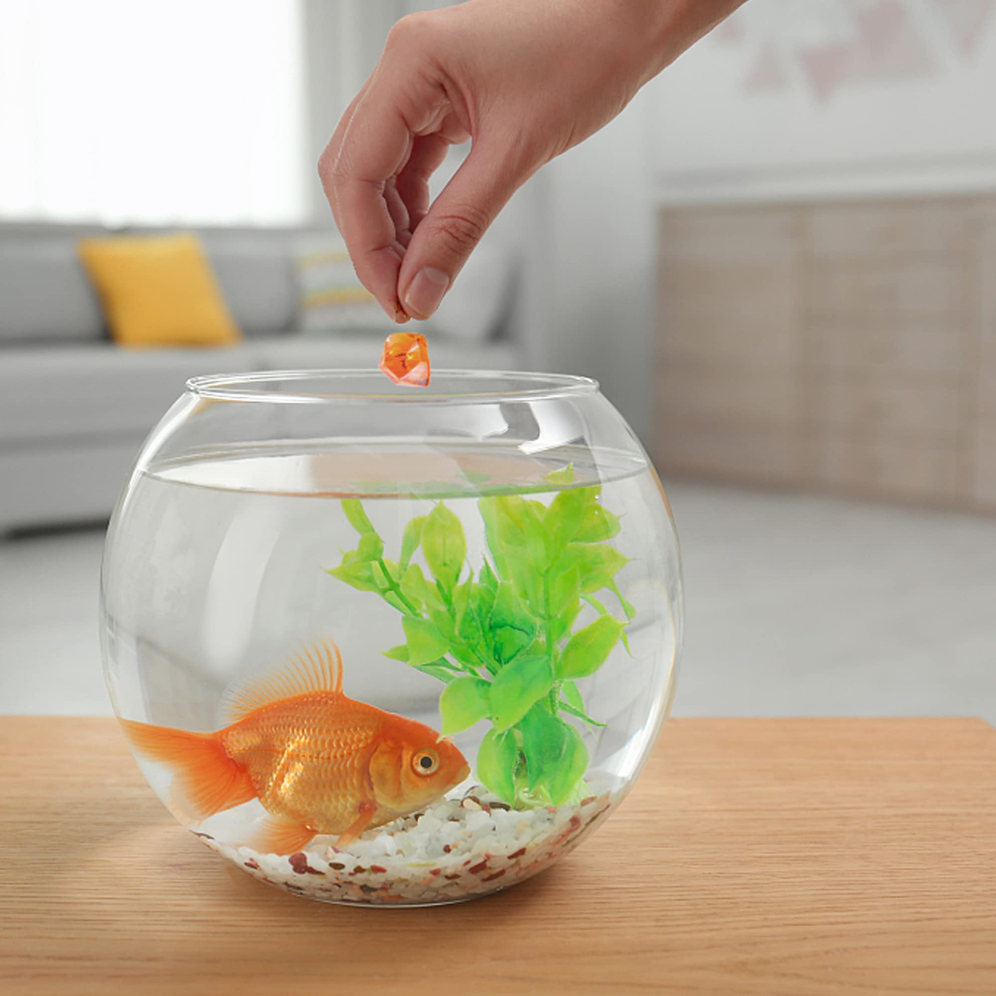 Dreamflame Mix Colors 200 PCS Acrylic Diamond Decorations Rock Crystals for Electric Fireplace(1 LB)